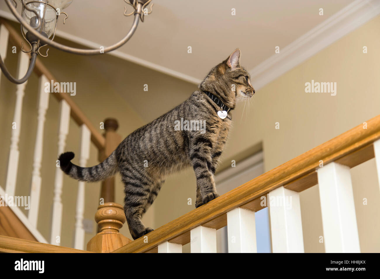 Banister Railing High Resolution Stock Photography and Images Alamy