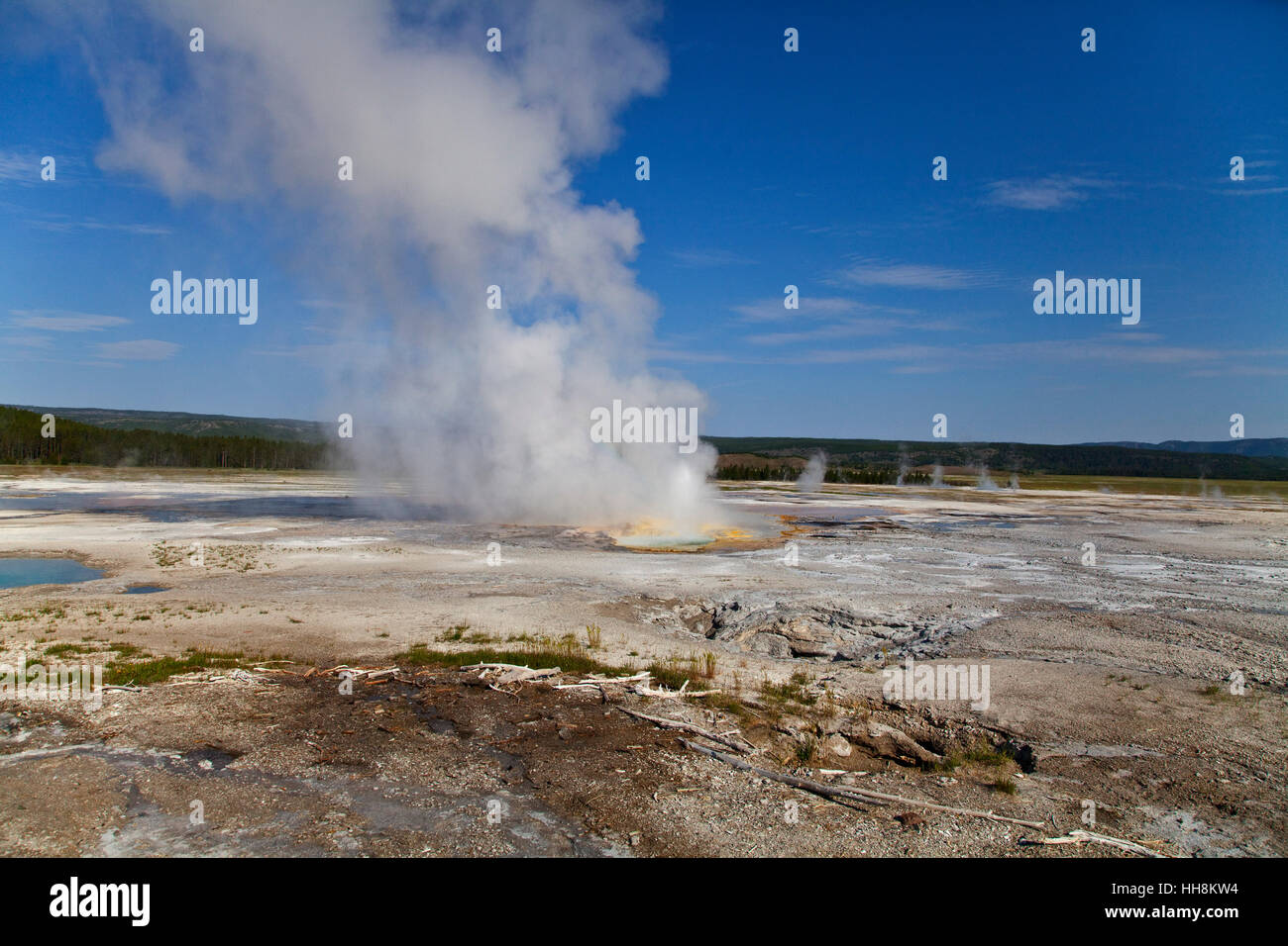 Paint pot steaming in Yellowstone National Park Stock Photo Alamy