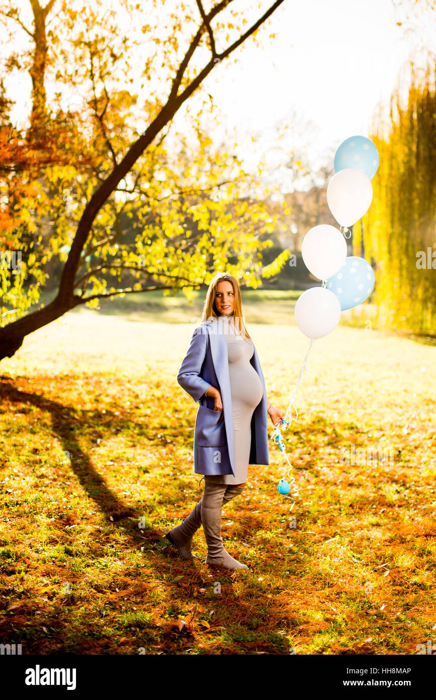Young pregnant woman walks in autumn park with balloons in hand Stock ...