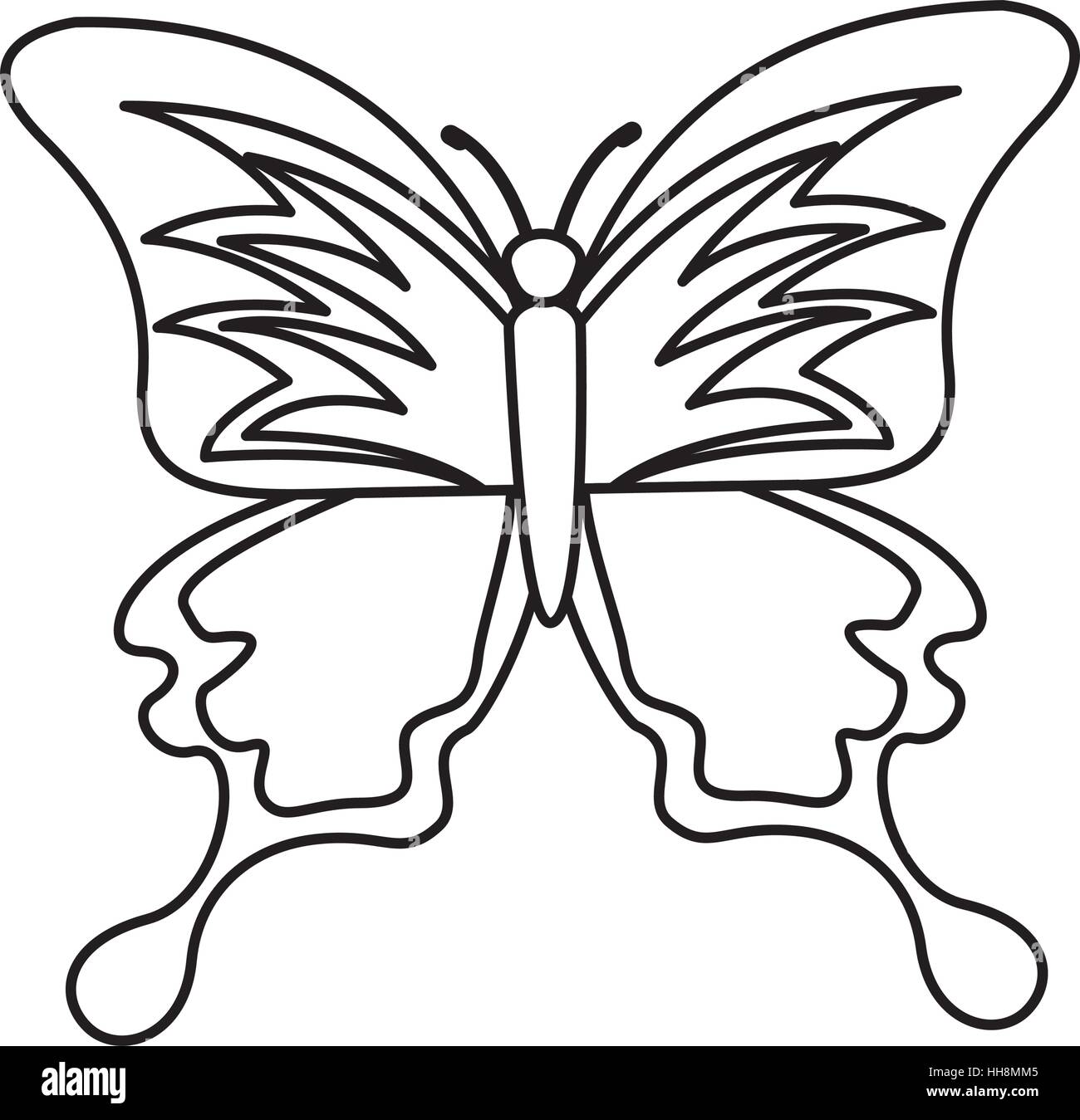 cute butterfly isolated icon vector illustration design Stock Vector ...