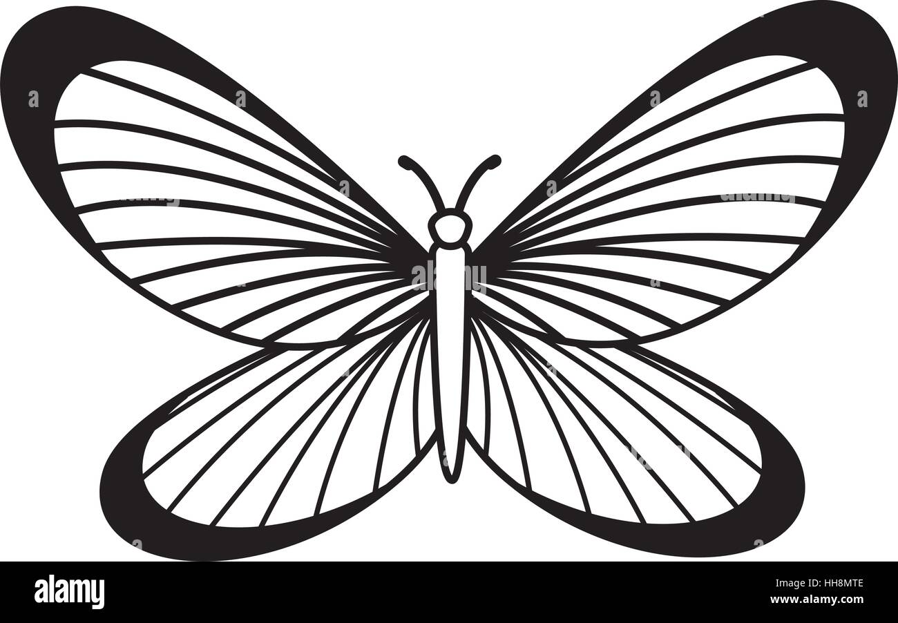cute butterfly isolated icon vector illustration design Stock Vector ...