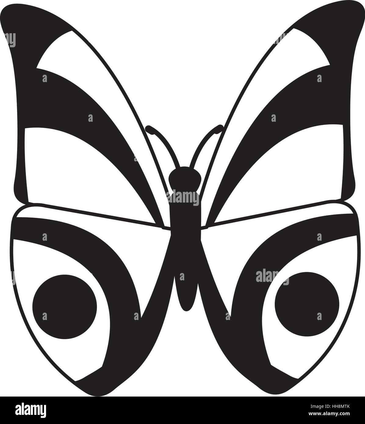 cute butterfly isolated icon vector illustration design Stock Vector ...