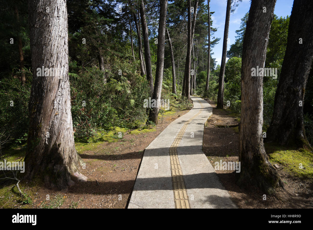 Bicycle path in Arvi Park, Medellin Colombia Stock Photo