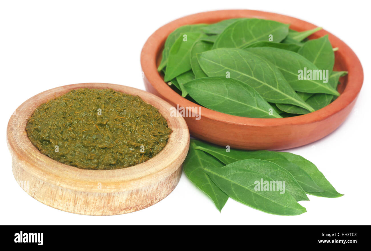 Ayurvedic henna leaves with paste in a wooden bowl Stock Photo