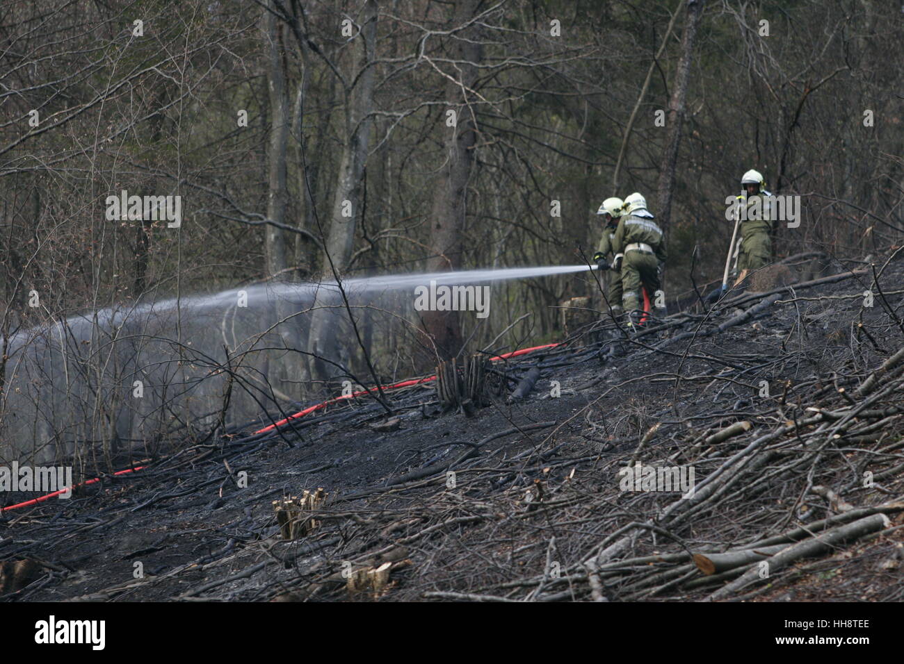 Fire fighters, Forest fire Stock Photo