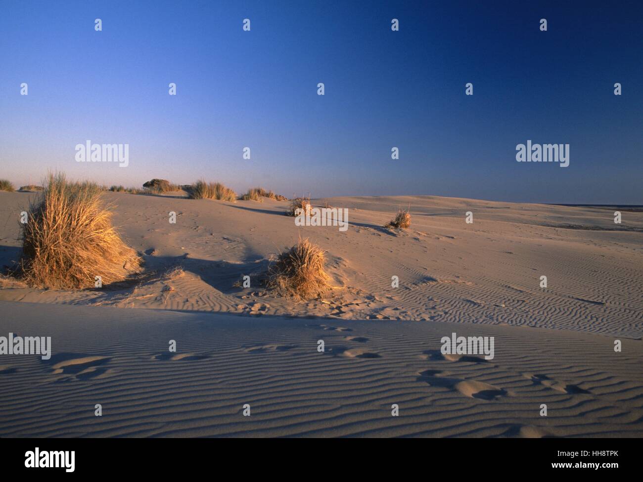L Espiguette Beach Hi res Stock Photography And Images Alamy l-espiguette-beach-hi-res-stock-photography-and-images-alamy