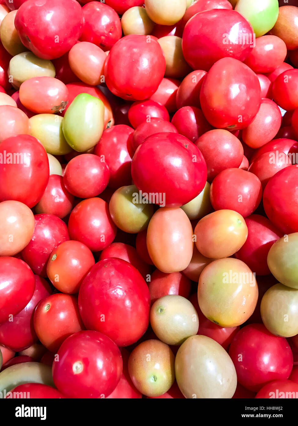 Closed up pile of tomatoes in the food market Stock Photo