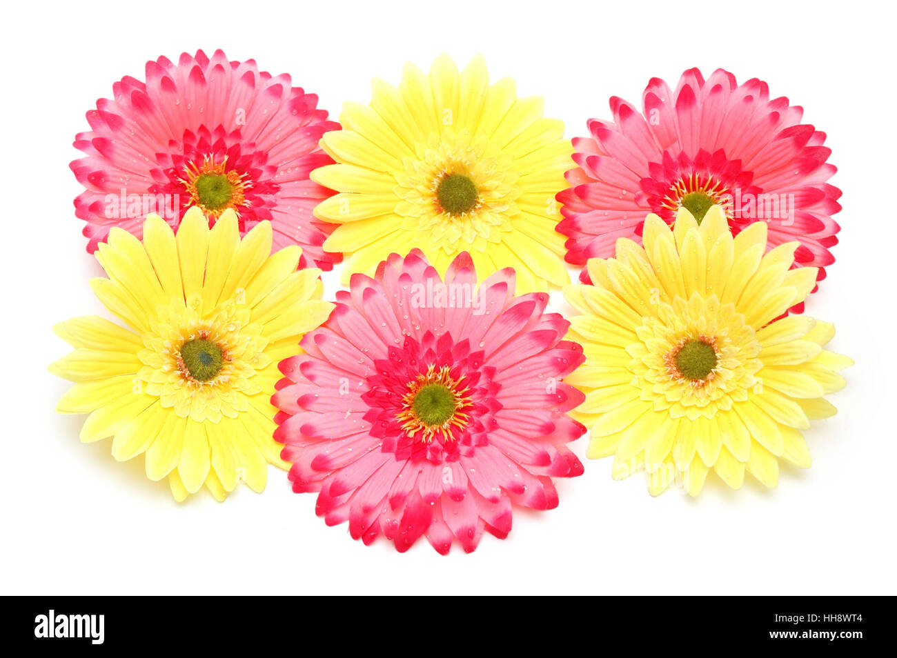 Various light colored flowers hi-res stock photography and images - Alamy