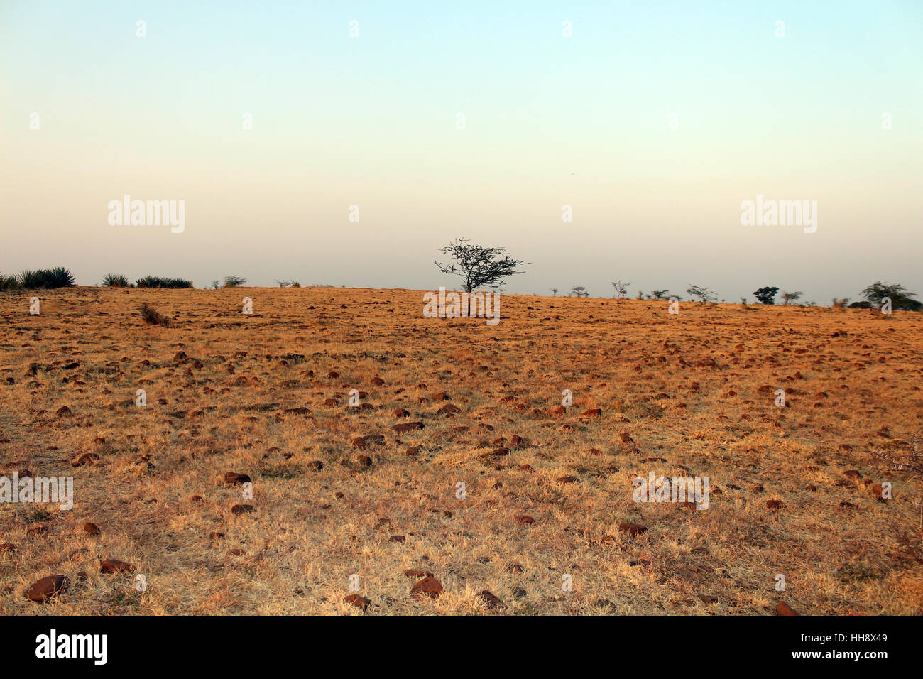 barren-land-HH8X49.jpg