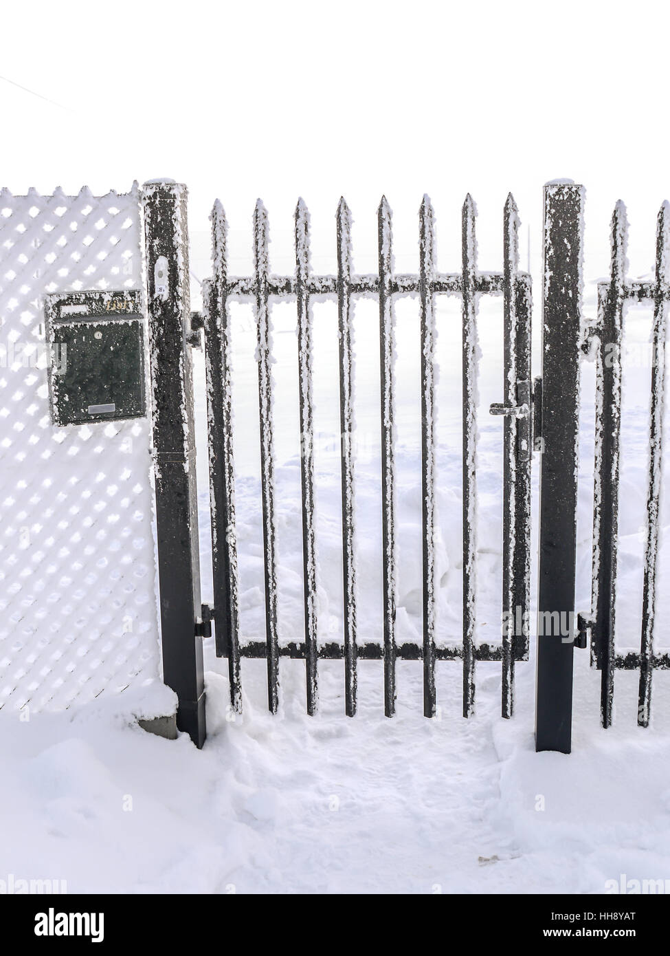 Frosted metal gate with fence in winter time Stock Photo
