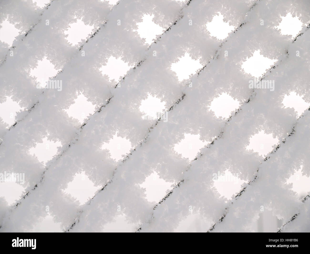 Closeup of frosted metal meshed fence in winter time Stock Photo