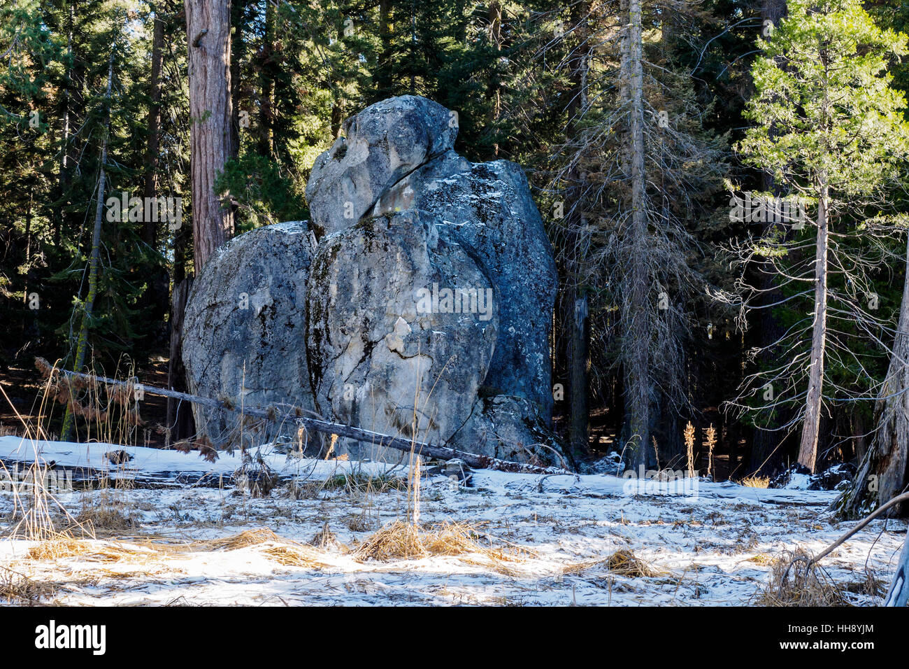 Bear shaped erratic rock near the Sunset Rock viewpoint near the Giant ...