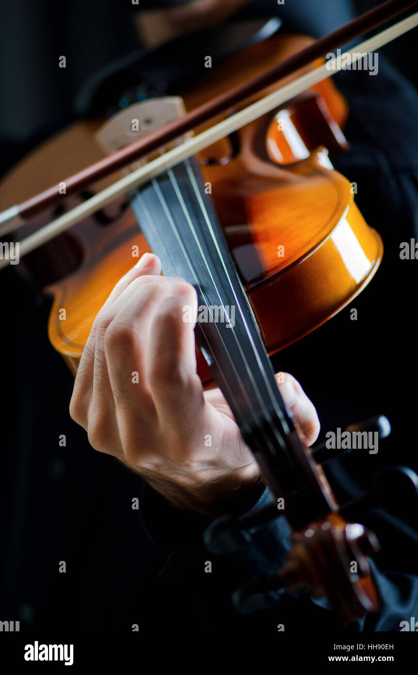Stringed intstrument hi-res stock photography and images - Alamy