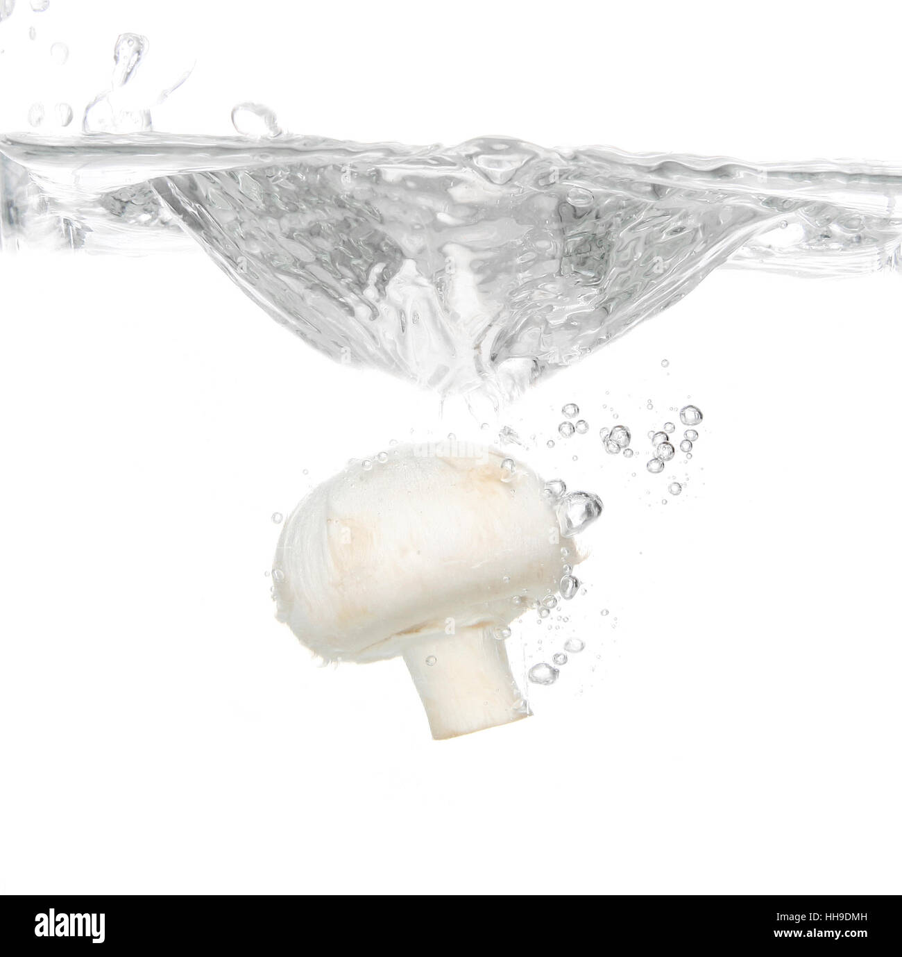 Fresh white mushroom splashing into transparent water Stock Photo - Alamy