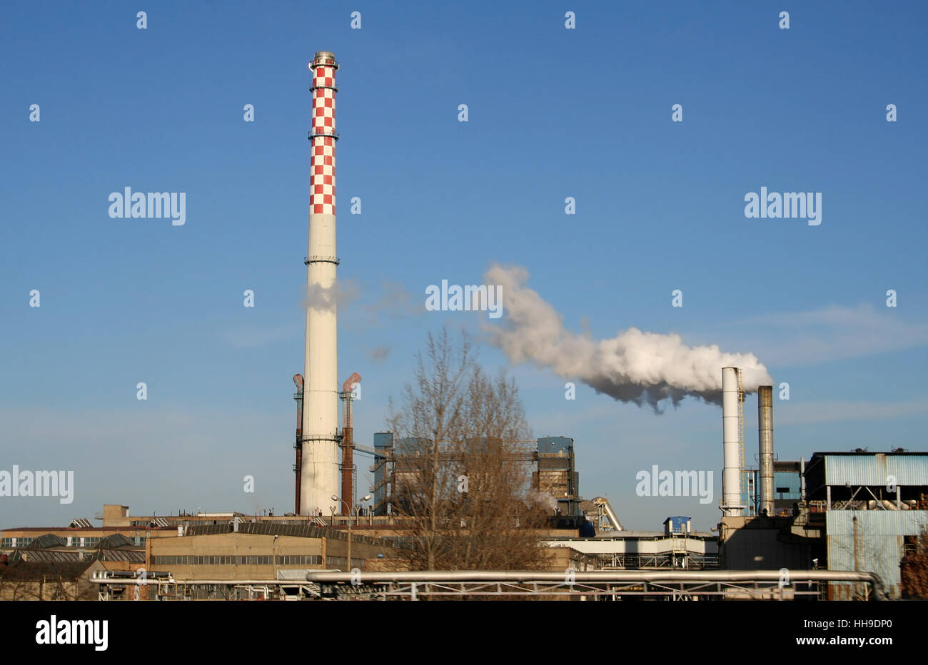 smoke, smoking, smokes, fume, environment, enviroment, hazardous