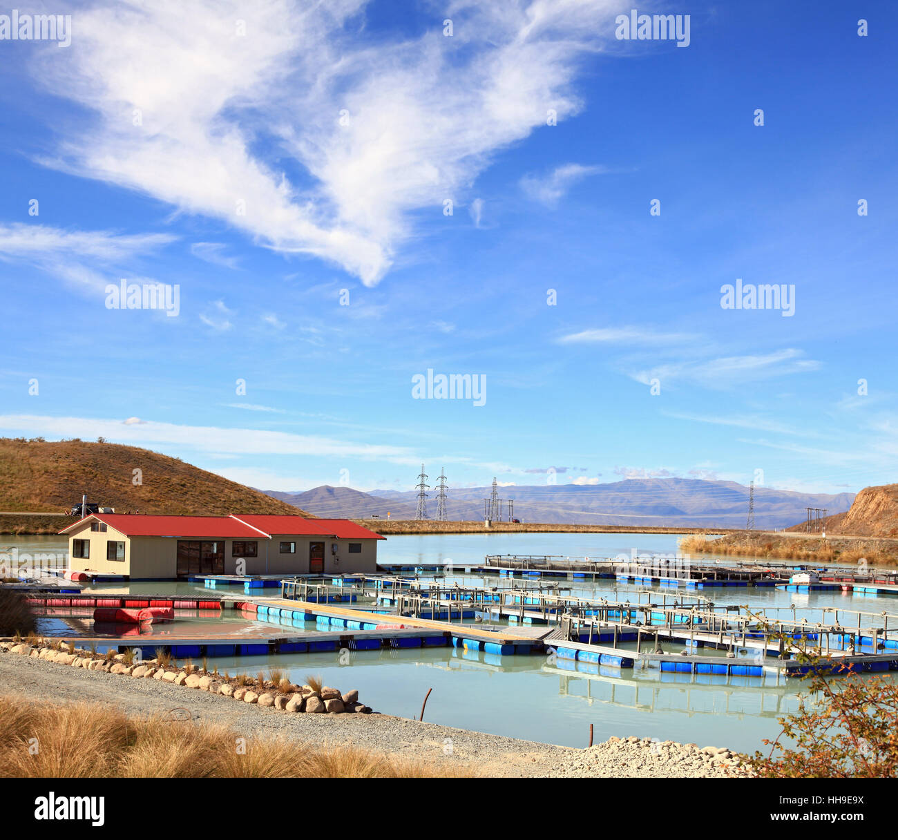 New zealand salmon farm hires stock photography and images Alamy
