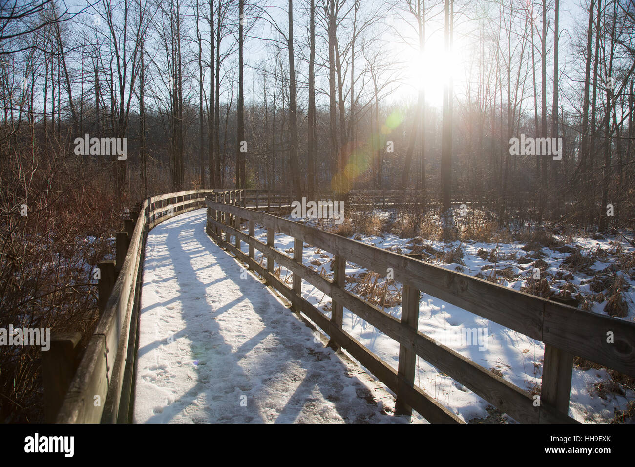 Winter boardwalk through the woods in late afternoon in chesterland ohio Stock Photo