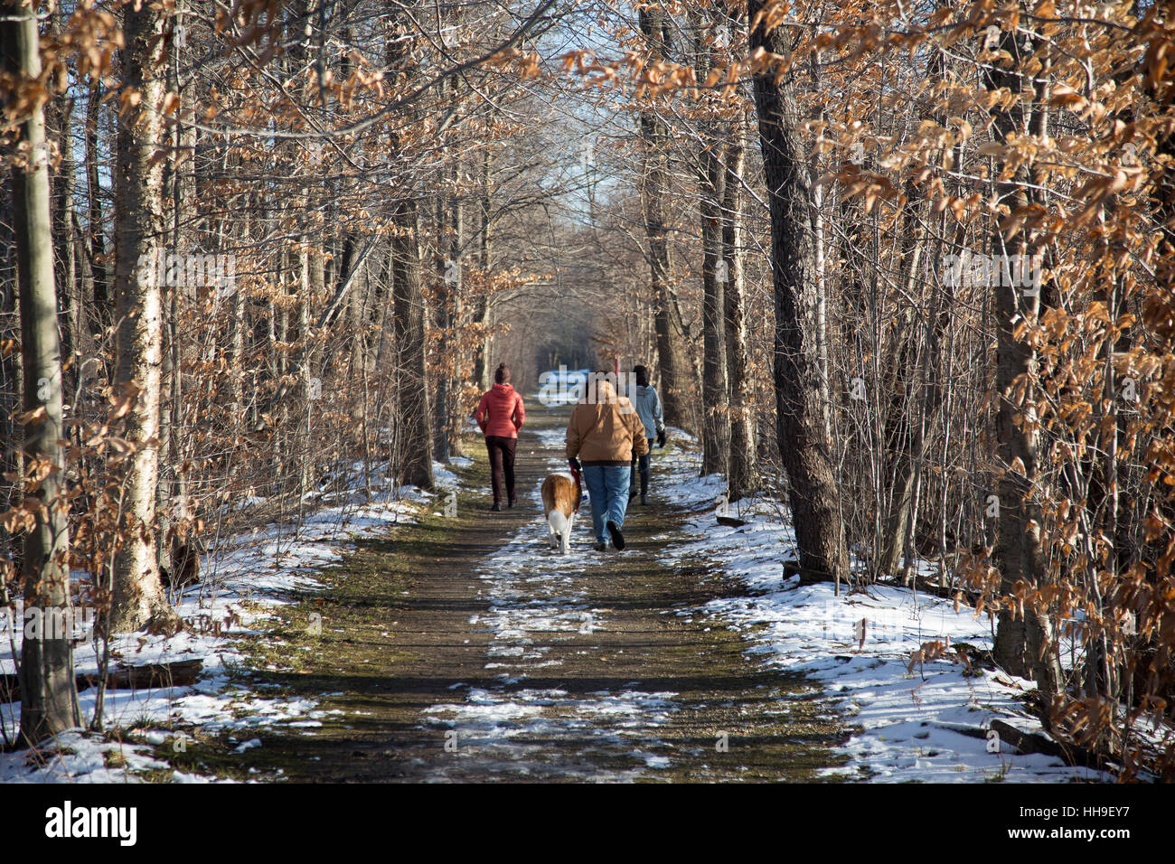 winter woods in chesterland ohio Stock Photo