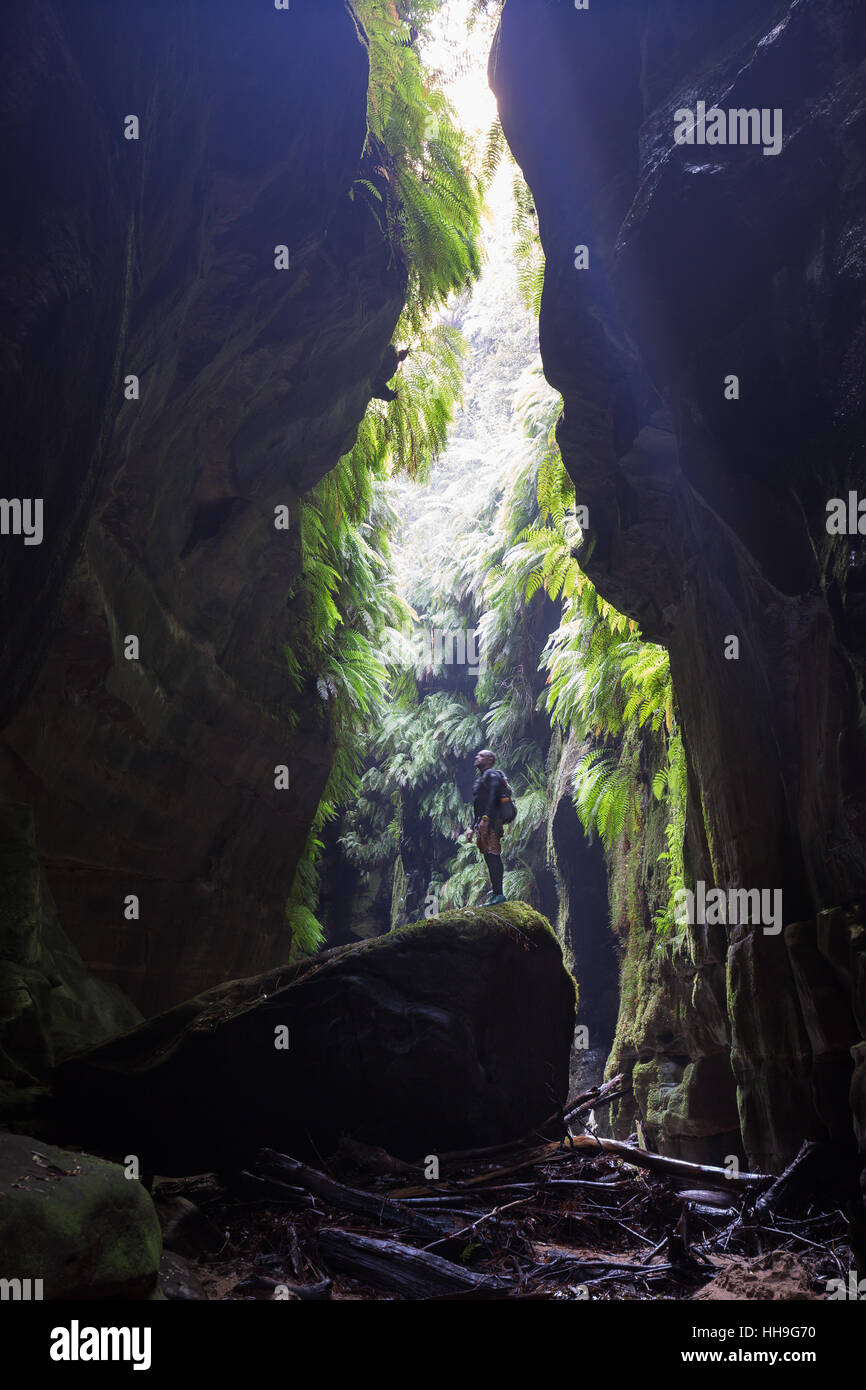 Adventure canyoning in claustral canyon in the Blue Mountains, Australia Stock Photo