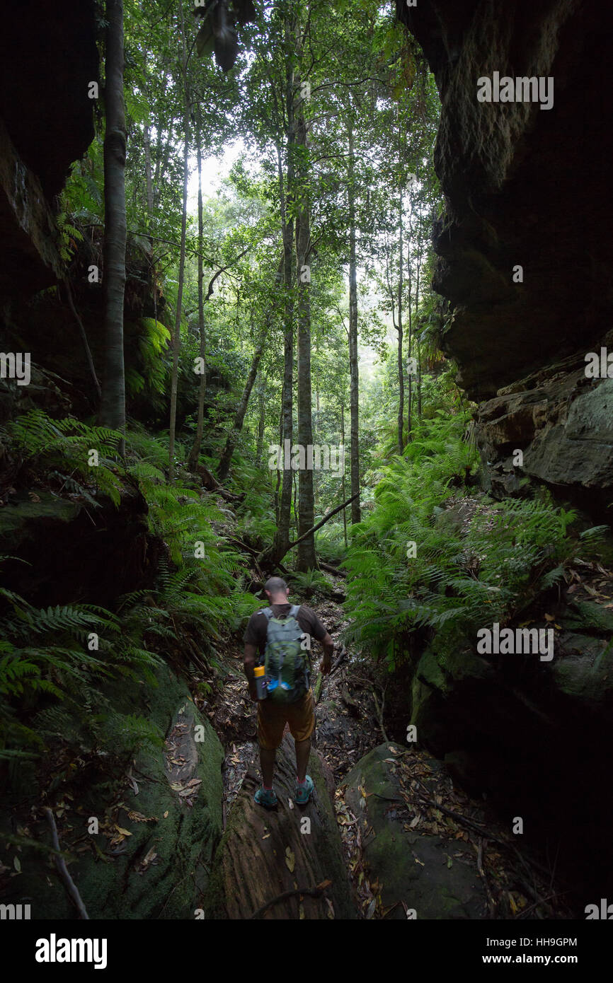 Aussie blue mountains hi-res stock photography and images - Alamy