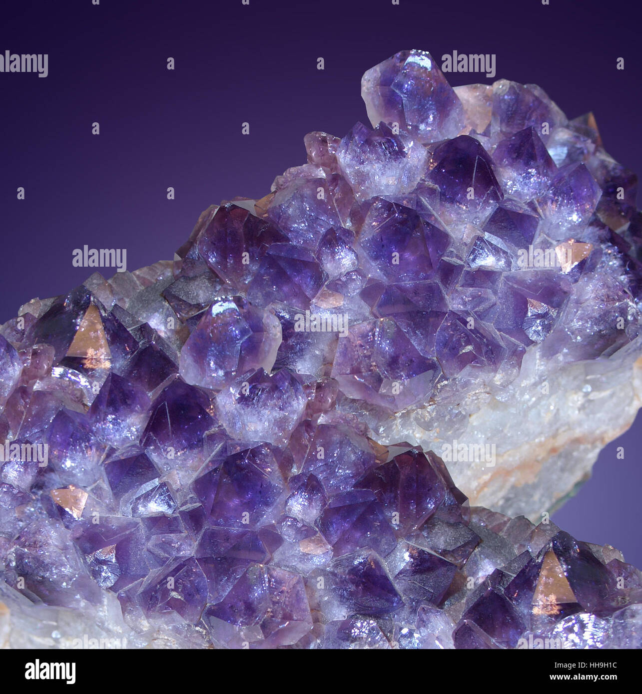 studio shot with amethyst crystals in violet back Stock Photo
