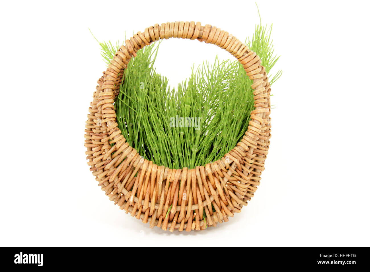 isolated, basket, horsetail, cutout, pflanzenheilkunde, phytotherapie, Stock Photo