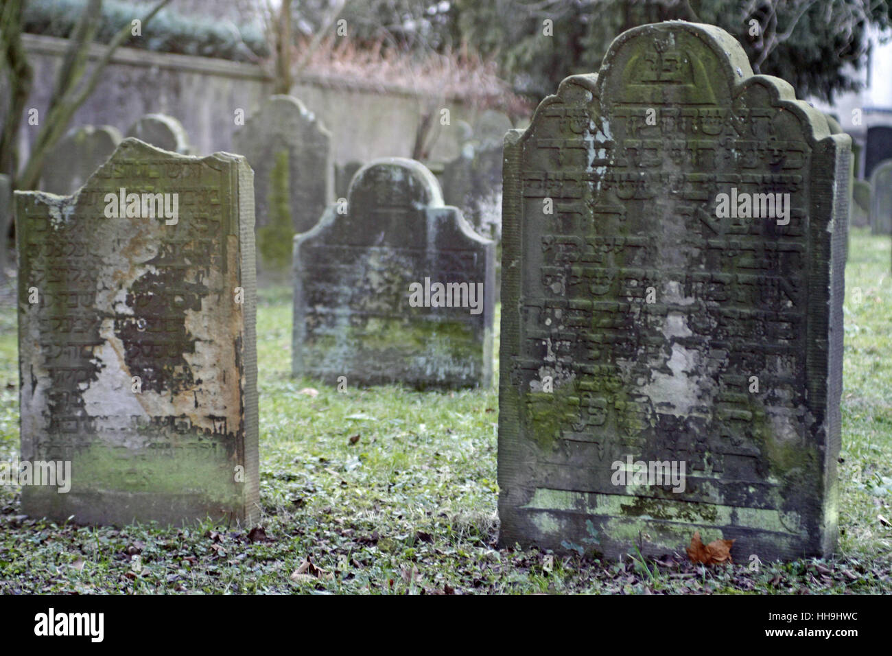 jewish, grave, gravestone, tombstone, jewishness, judaism, graves, tombstones, Stock Photo