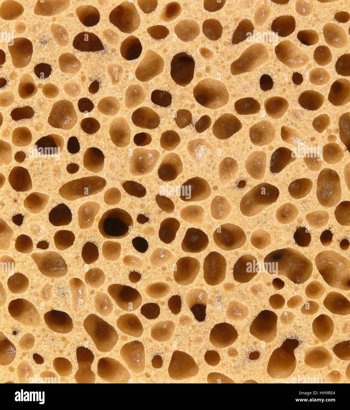 holes, punch, sponge, homework, porosities, formatfilling, absorb