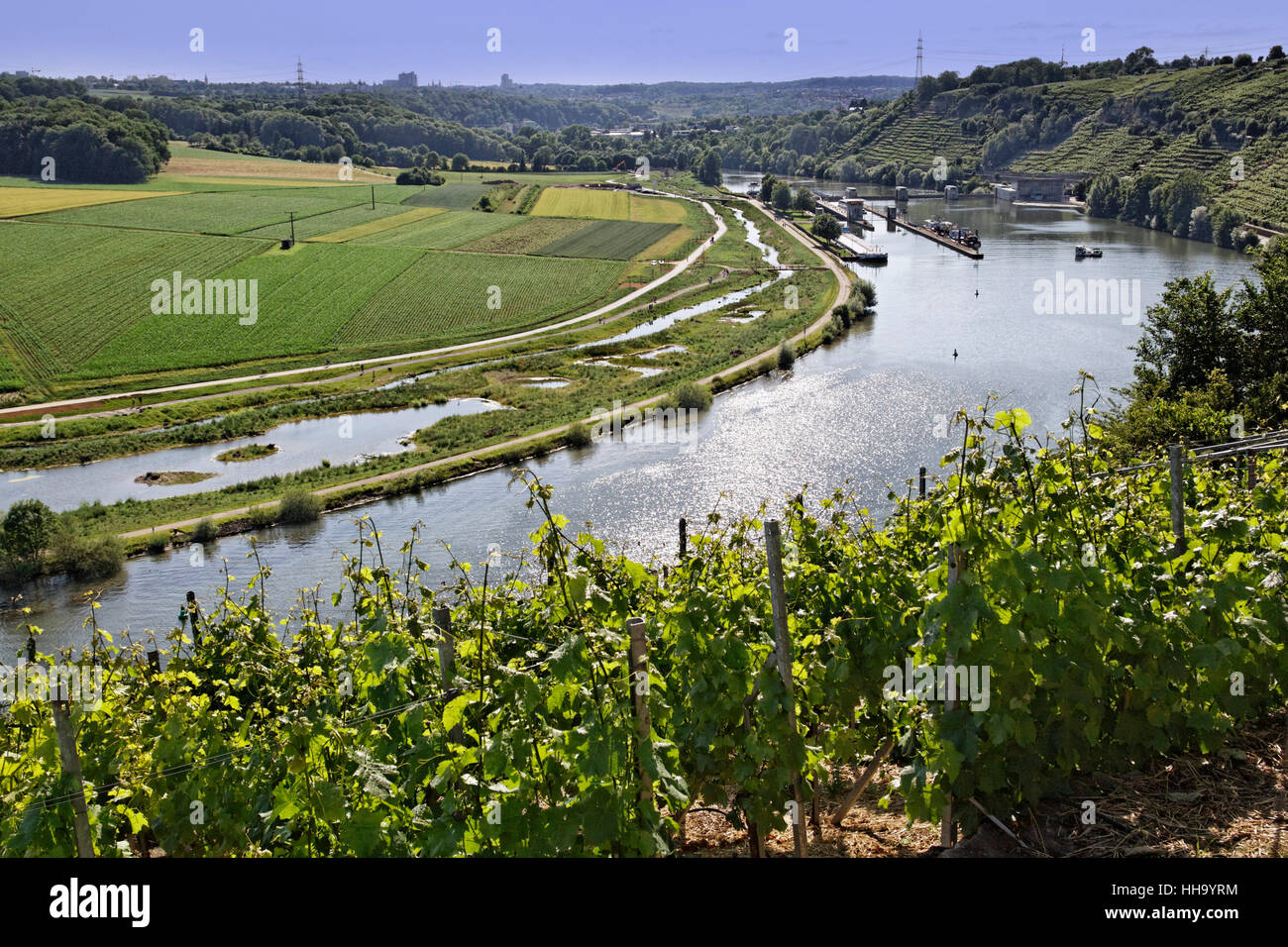 weinberg popp while Stock Photo