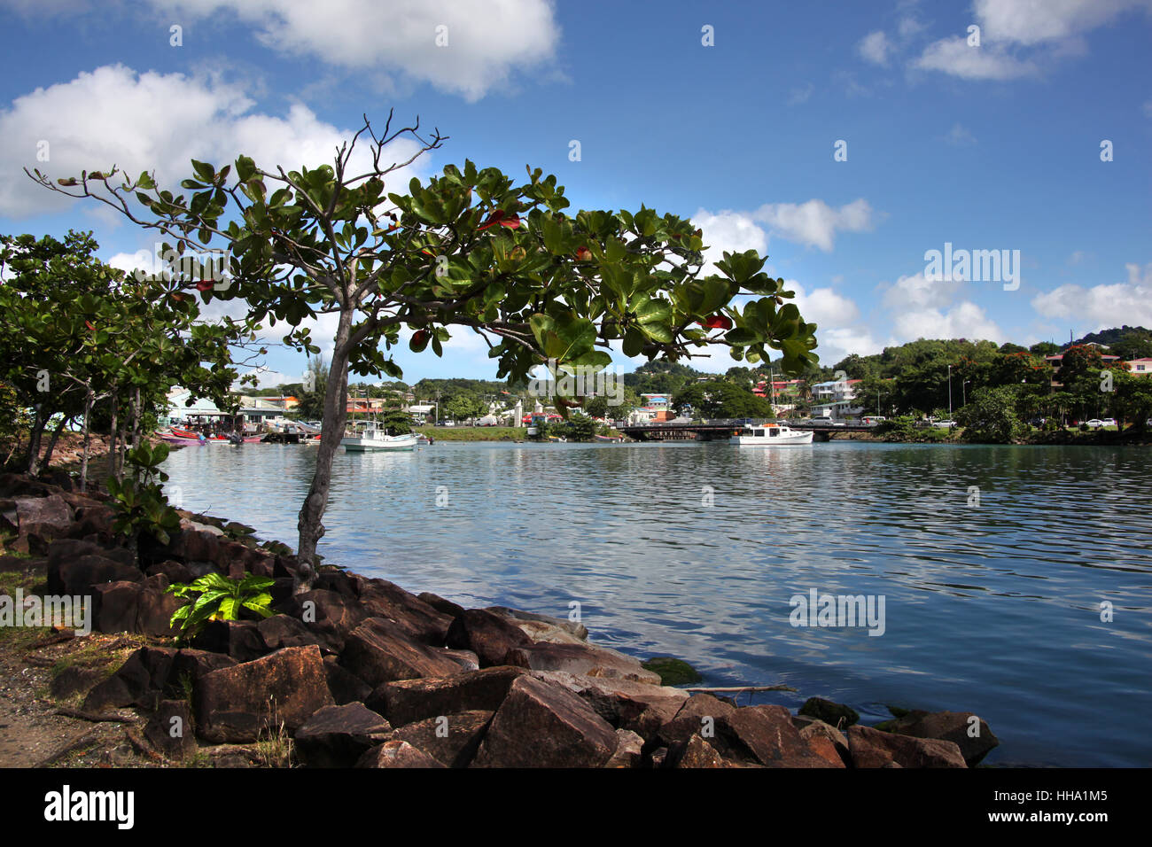 View across the harbor towards Castries, St Lucia, Caribbean. Stock Photo