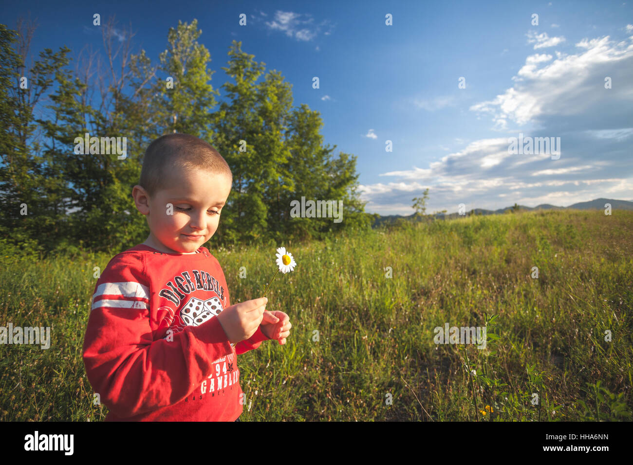 Smiling little kid boy in red blouse keep a daisy in hand on a green field Stock Photo