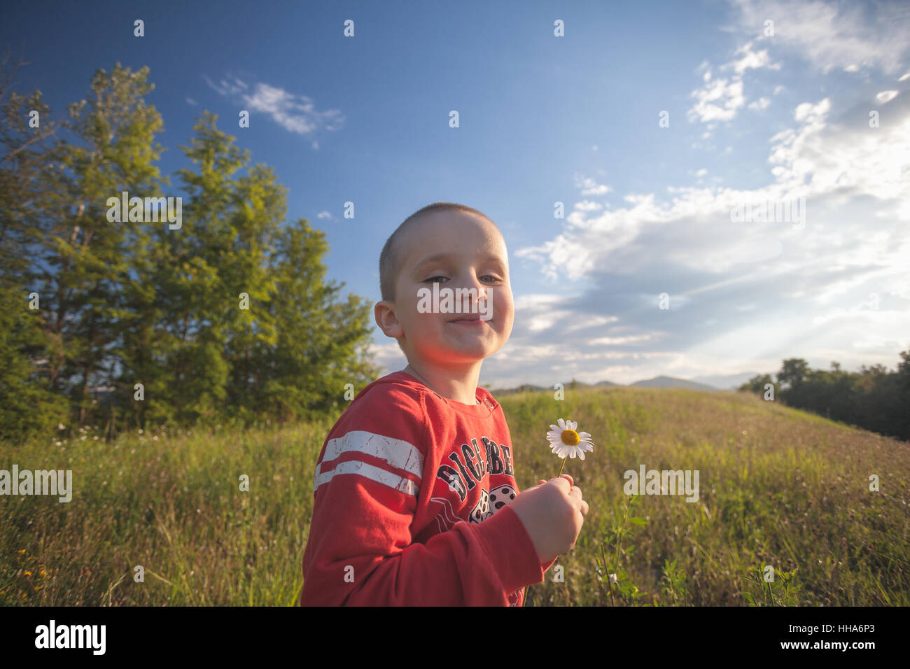 Smiling little kid boy in red blouse keep a daisy in hand on a green field Stock Photo