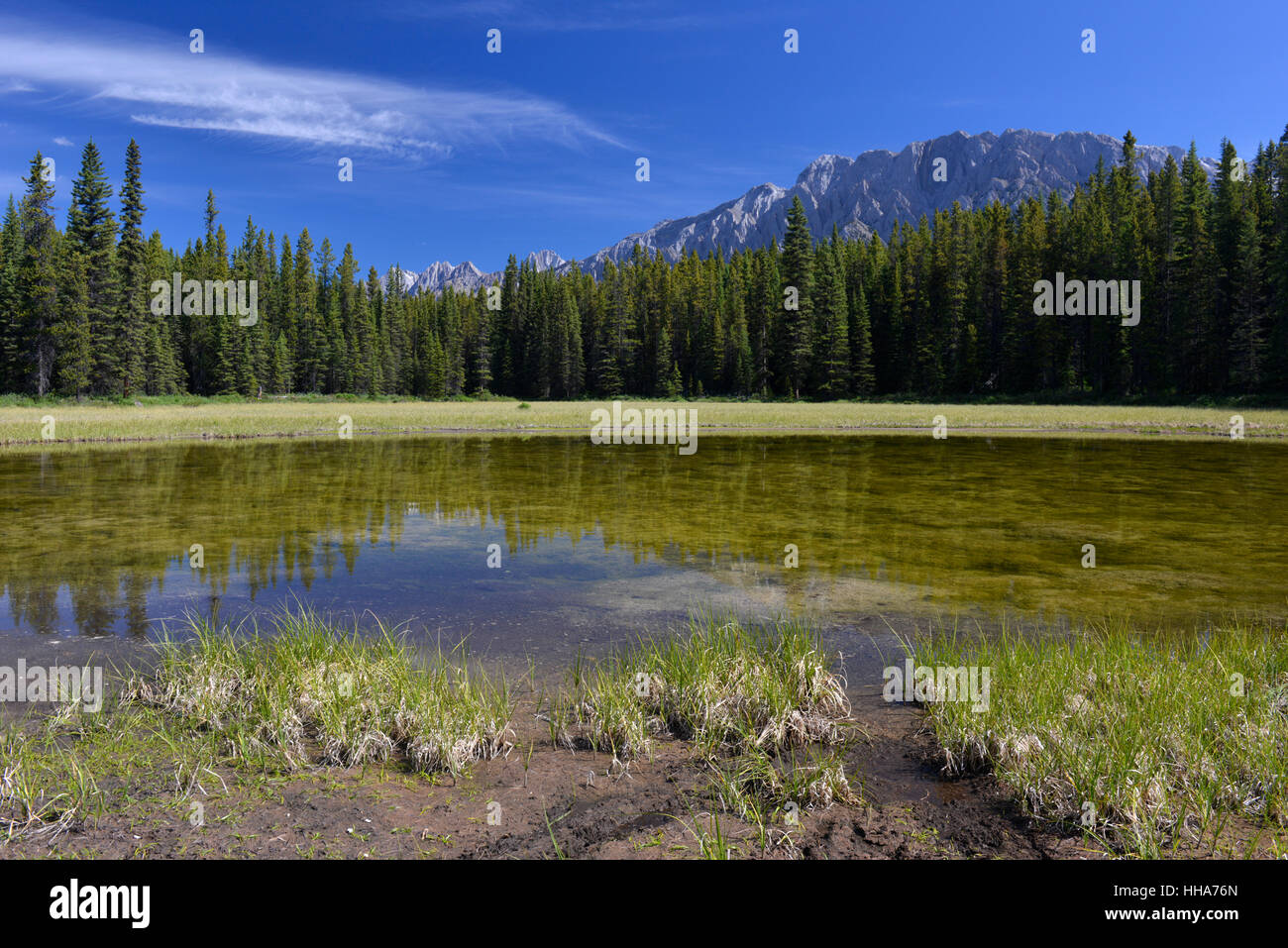 Small lake close to Elkwood camp ground, Peter Lougheed Provincial Park, Kananaskis Stock Photo