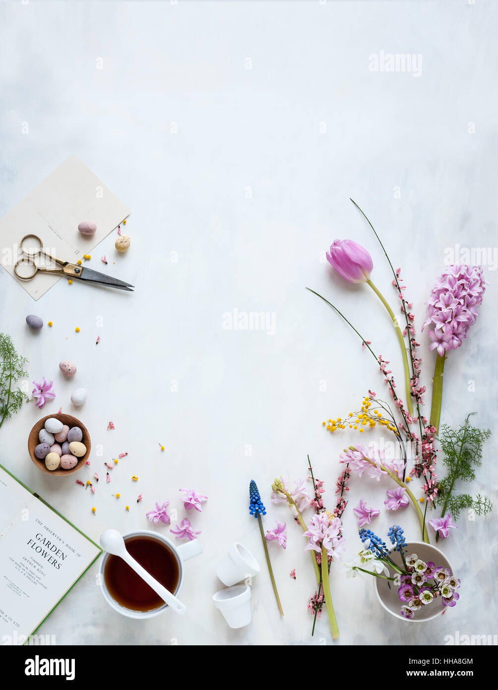 Flat lay still life with teacup, scissors, garden book, fresh spring flowers Stock Photo