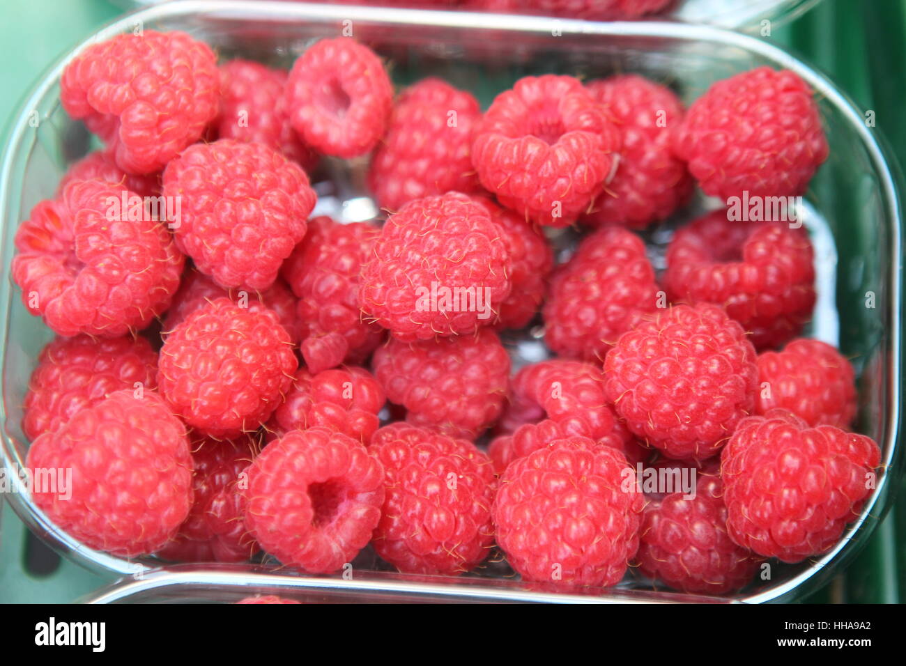 raspberry (rubus idaeus) Stock Photo
