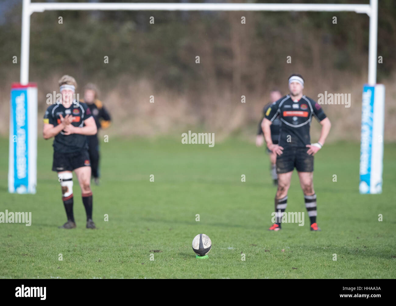 North Dorset RFC Adult's Black Pro Vest-Senior North Dorset RFC Adult's Black Pro Vest-Senior