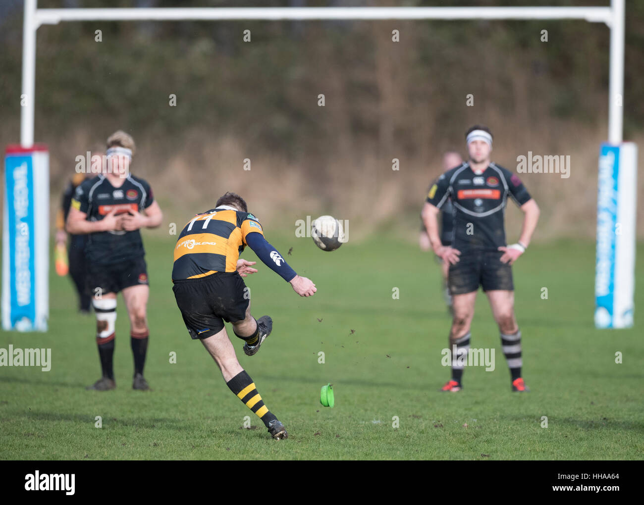 North Dorset RFC Adult's Black Pro Vest-Senior North Dorset RFC Adult's Black Pro Vest-Senior
