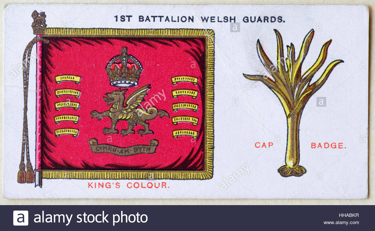 1st Battalion Welsh Guards regimental standard and cap badge Stock Photo
