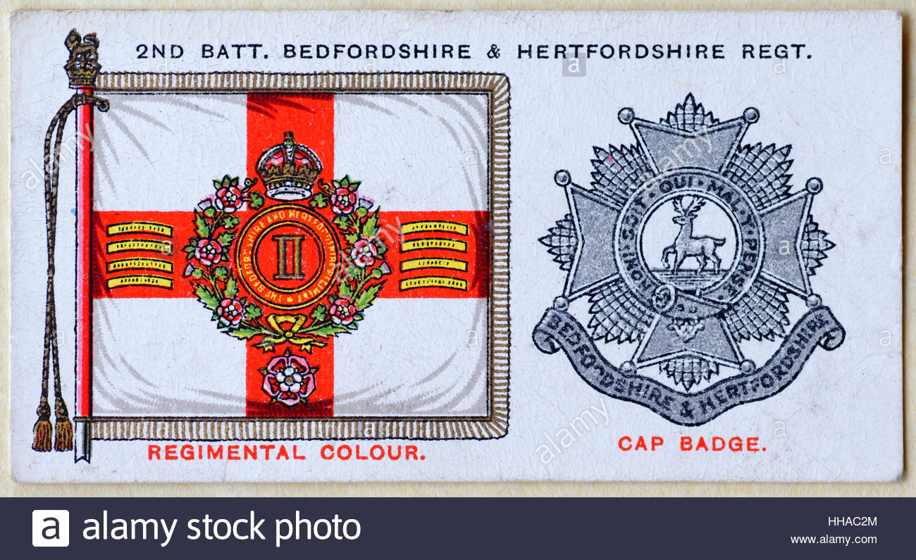 2nd Battalion Bedfordshire and Hertfordshire regiment regimental