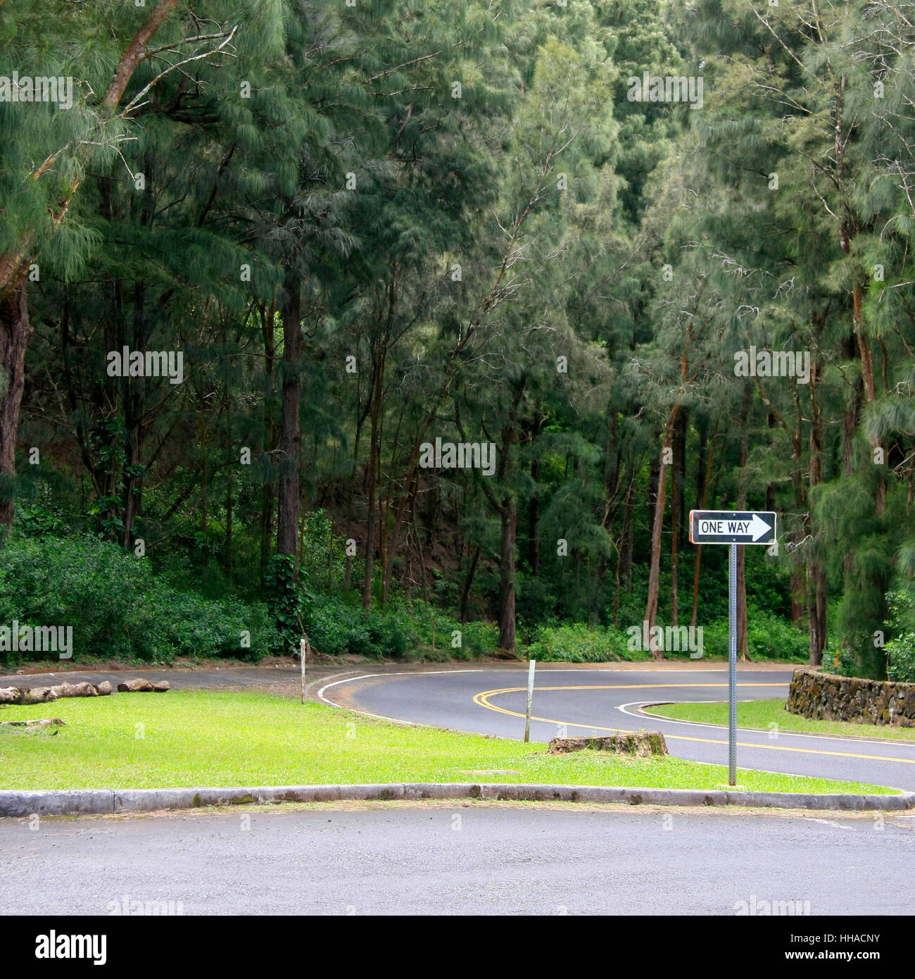 Pointing the way jungle hi-res stock photography and images - Alamy