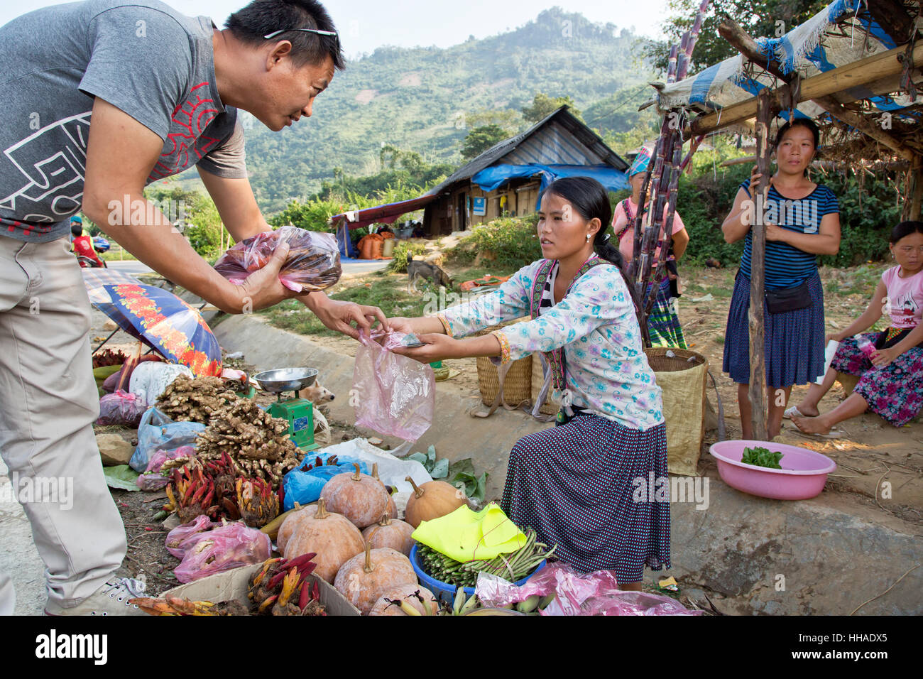 Hmong young female farmer selling her home grown herbs, spices,  natural medicinal herbs,  & vegetables along roadway. Stock Photo
