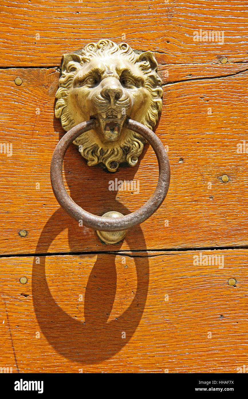 lion head door knocker as Stock Photo