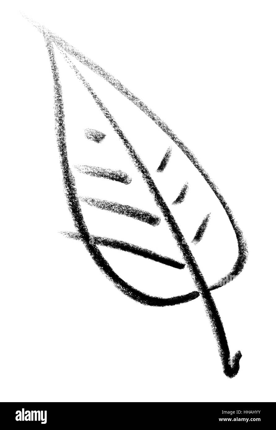 crayon-painted leaf in white back Stock Photo