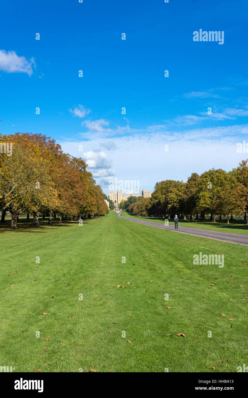 Windsor Castle from The Long Walk, Windsor, Berkshire, England, United Kingdom Stock Photo