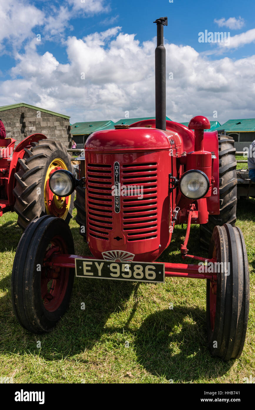 Rounded grill on red vintage David Brown Tractor at Anglesey Show Stock Photo