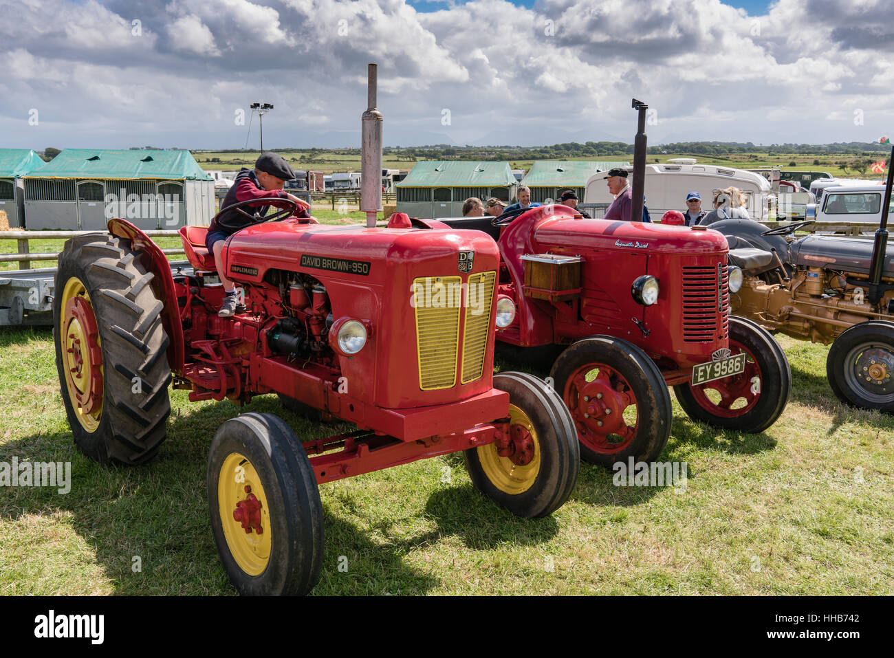 A pair of vintage David Brown tractors interests a new generation at the Anglsey Show Stock Photo