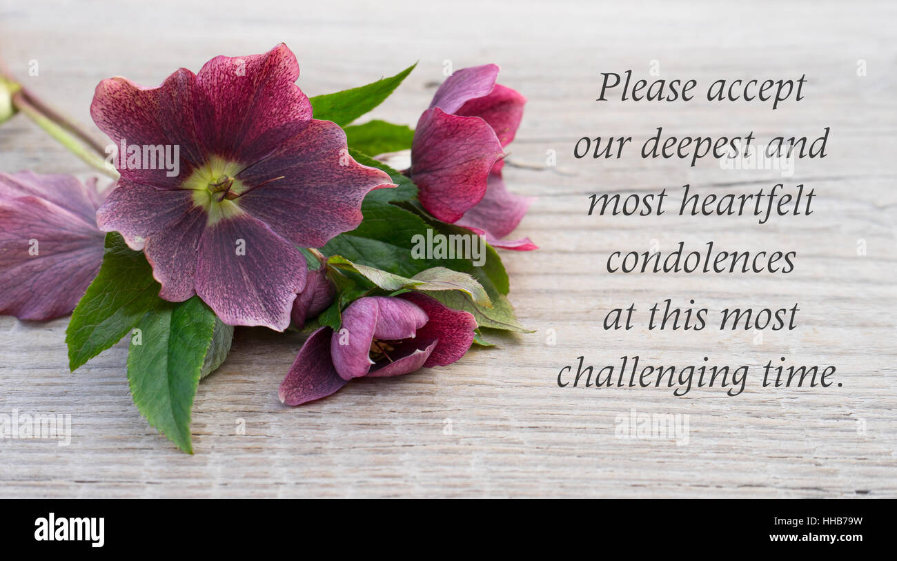 English Mourning card with purple hellebores Stock Photo