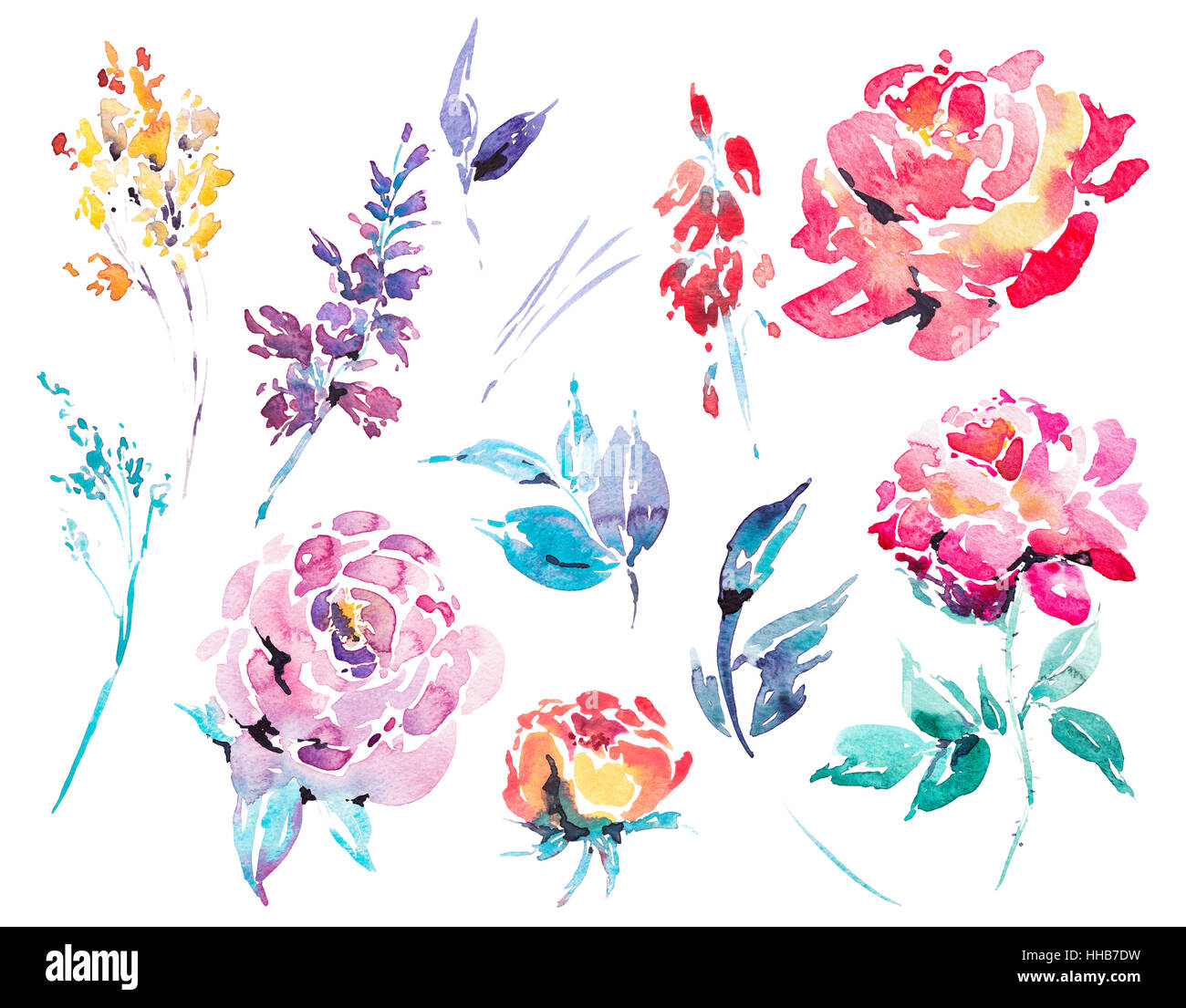 Watercolor floral isolated design elements Stock Photo - Alamy