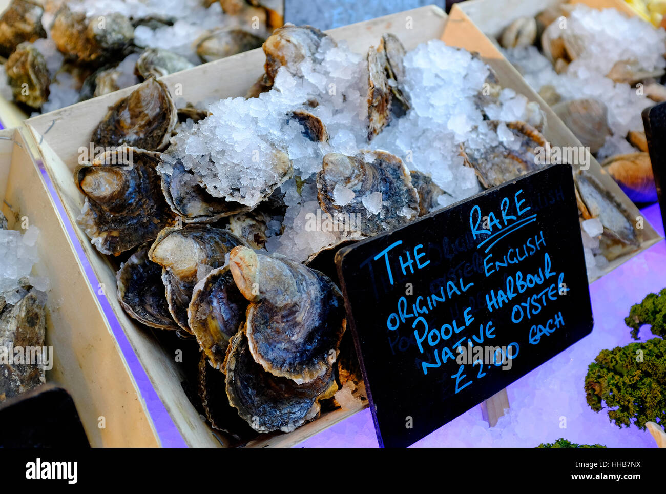 poole harbour native oysters, borough market, london. england Stock Photo