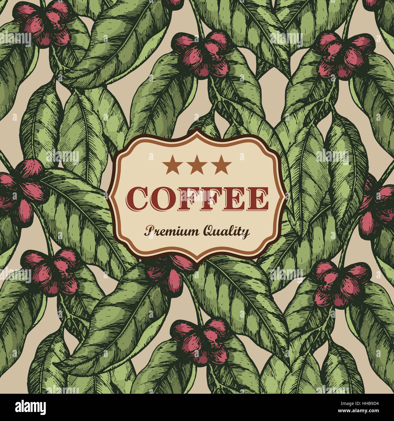 Coffee design template. Coffee branch engraving illustration. Vector